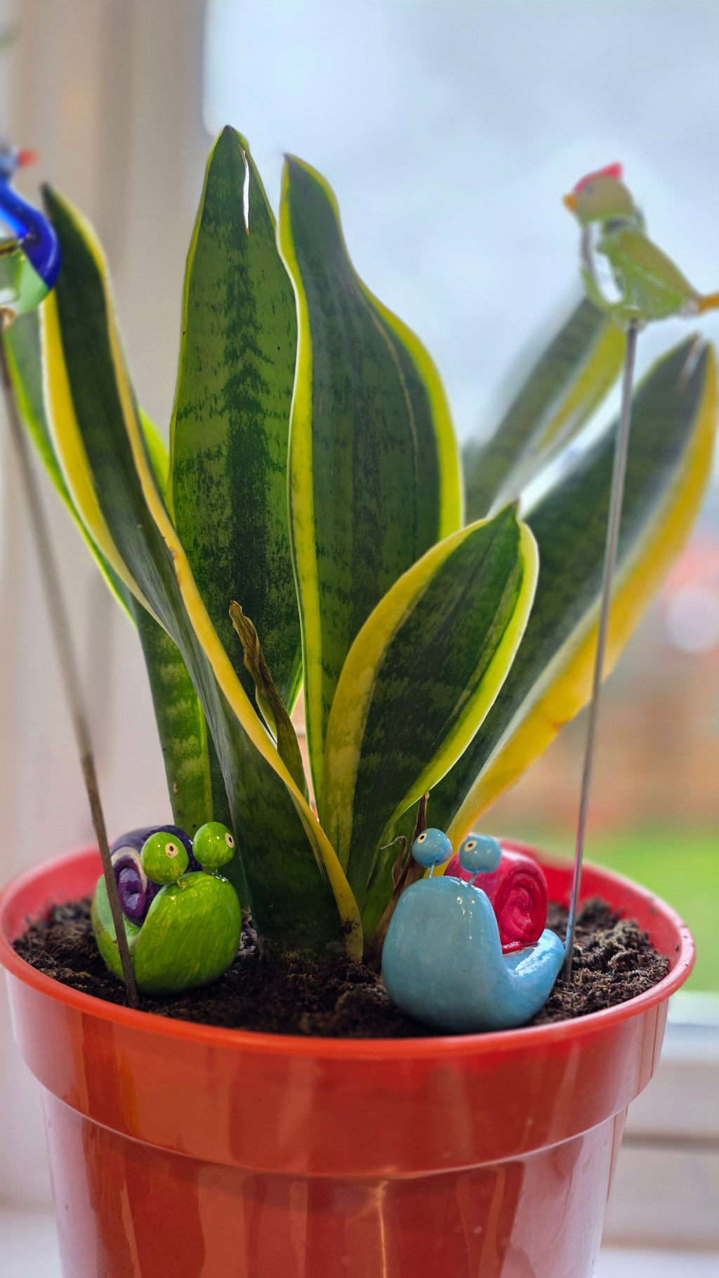 Handmade Snail Plant Decor (Set of 3)
