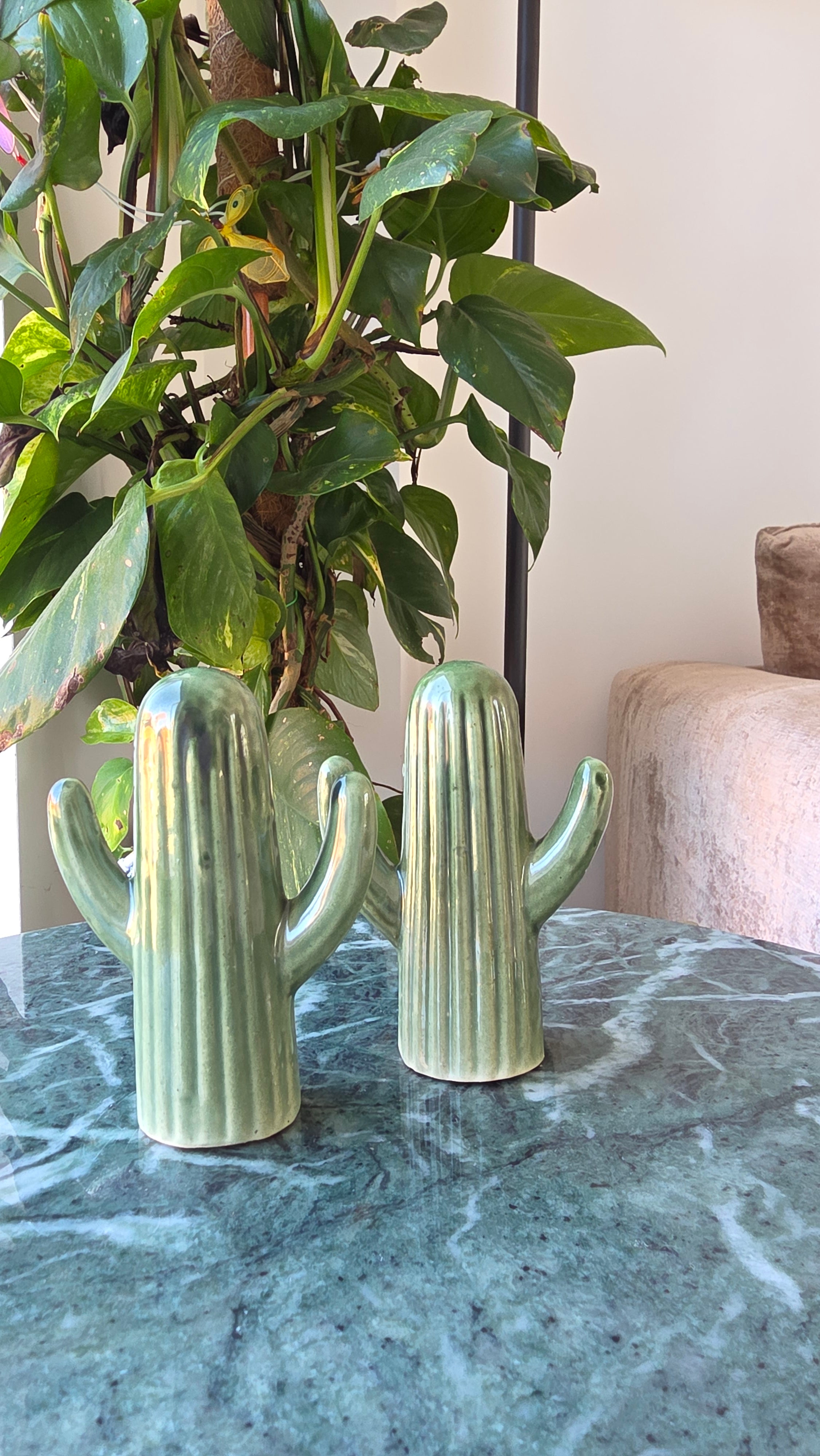 Handcrafted Green Cactus Ceramic Salt &amp; Pepper Shaker Set – Small 2 Piece