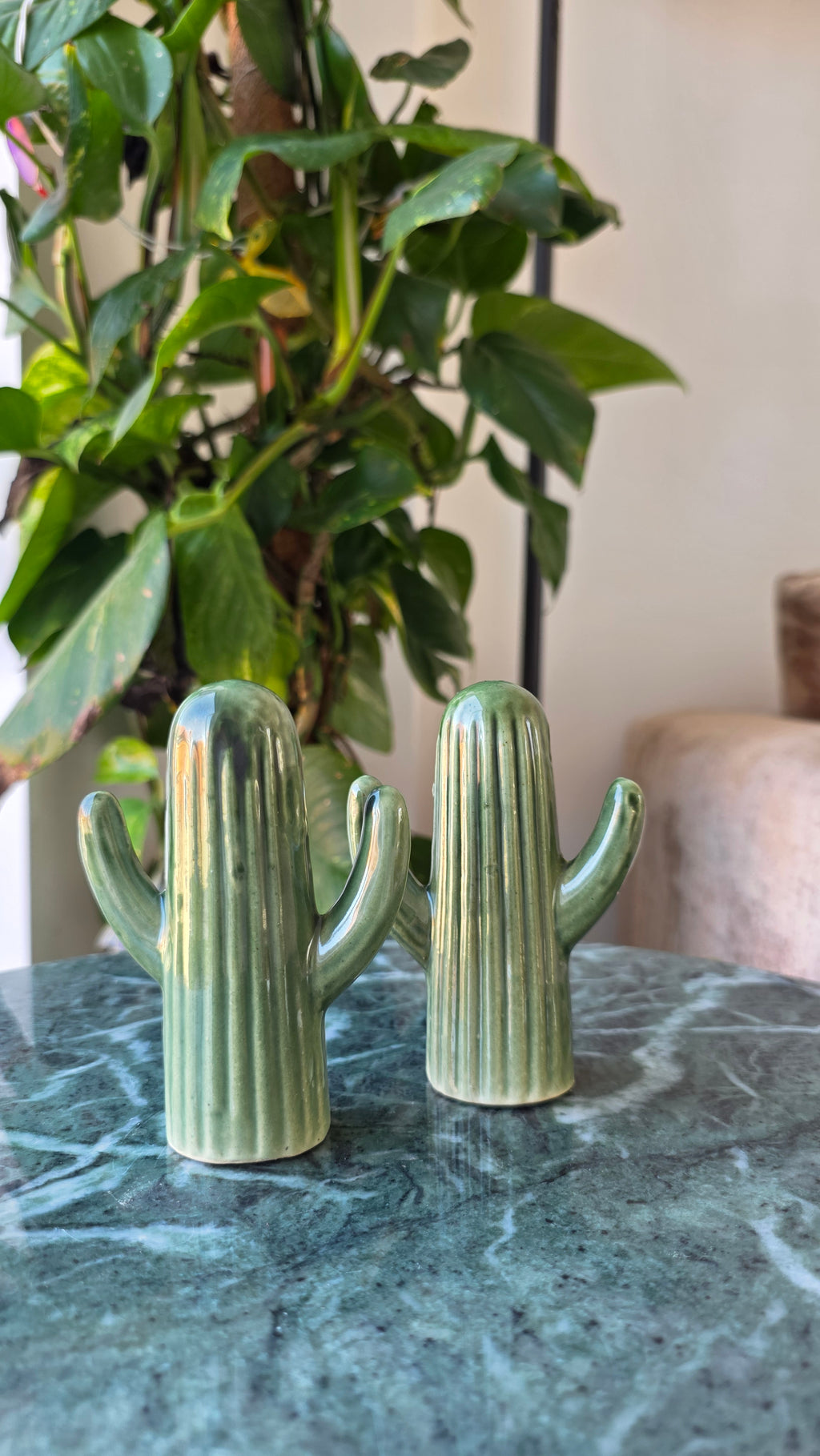 Handcrafted Green Cactus Ceramic Salt &amp; Pepper Shaker Set – Small 2 Piece