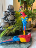 Colourful Parrot Decor (single)